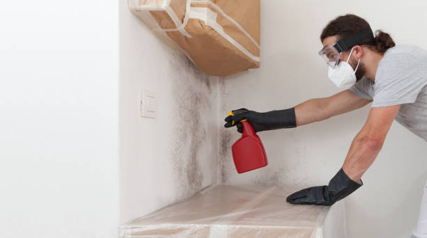 Professional Crawl Space Mold Removal technician working in Curtis Bay, MD